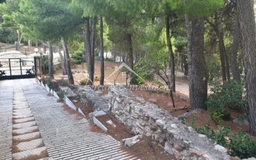 Προς Πώληση Μεζονέτα 280 τ.μ., Αχαρνές