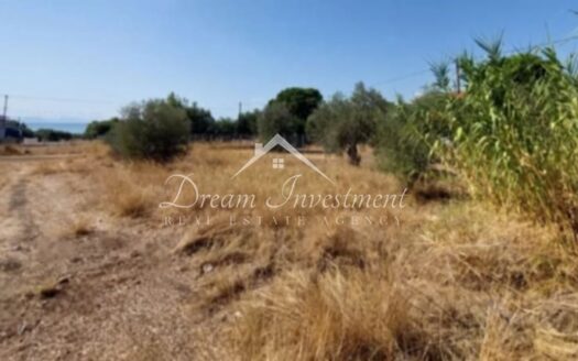 Προς Πώληση Οικόπεδο 860 τ.μ., Νέα Αρτάκη