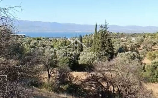 Προς Πώληση Κτίρια Οικιστικά 193 τ.μ., Ερέτρια